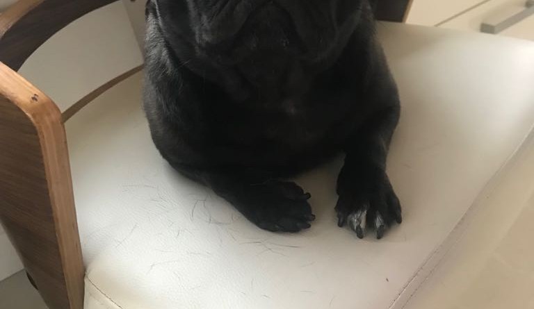 What are you looking at?