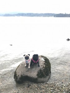 We love the beach